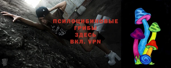 гашик Дмитров