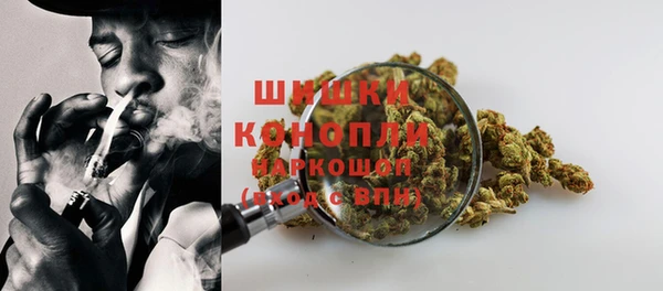 твердый Дмитриев