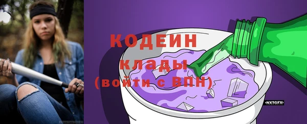 гашик Дмитров