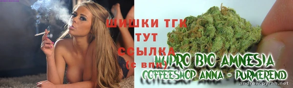 твердый Дмитриев