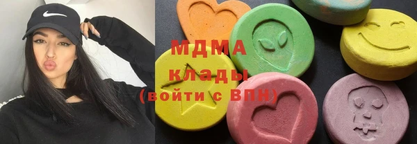 гашик Дмитров
