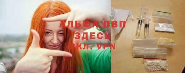 гашик Дмитров