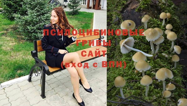 твердый Дмитриев