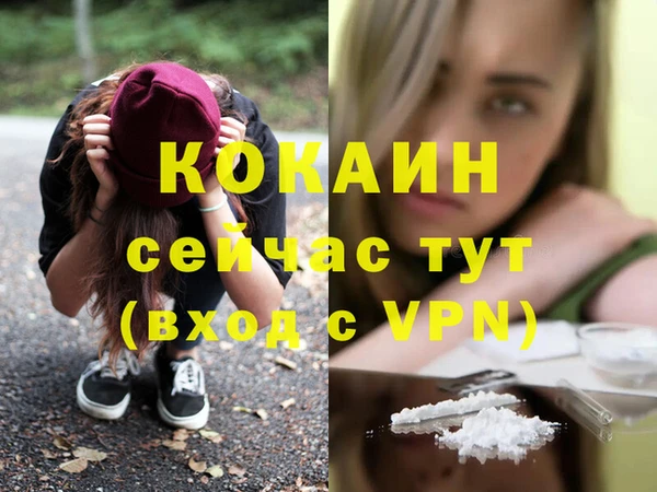 твердый Дмитриев