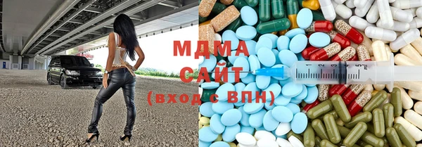 гашик Дмитров