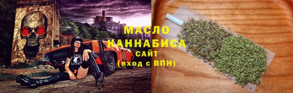 твердый Дмитриев