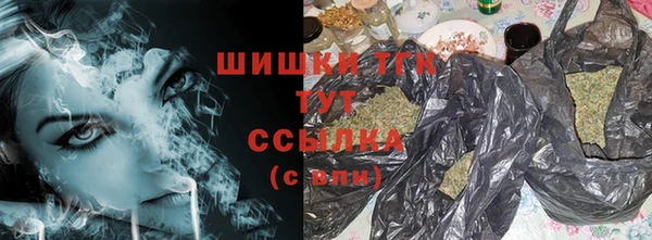 гашик Дмитров