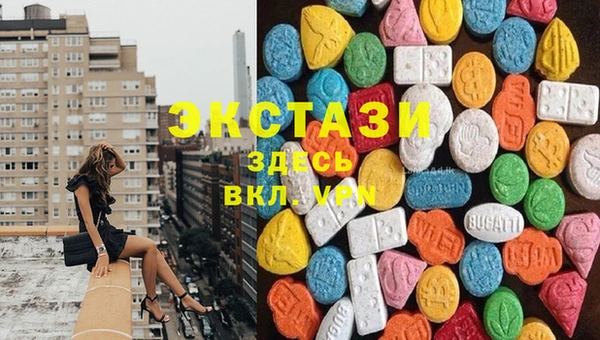 твердый Дмитриев