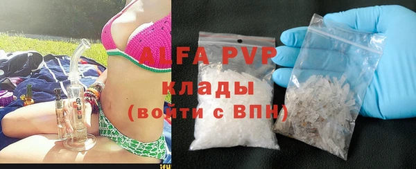 гашик Дмитров