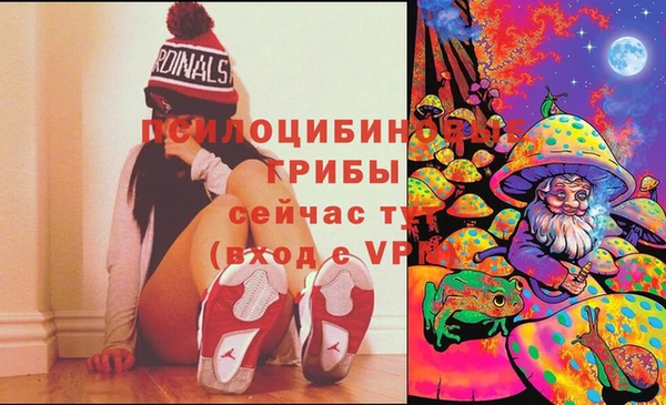 гашик Дмитров