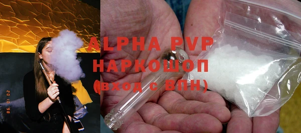 гашик Дмитров